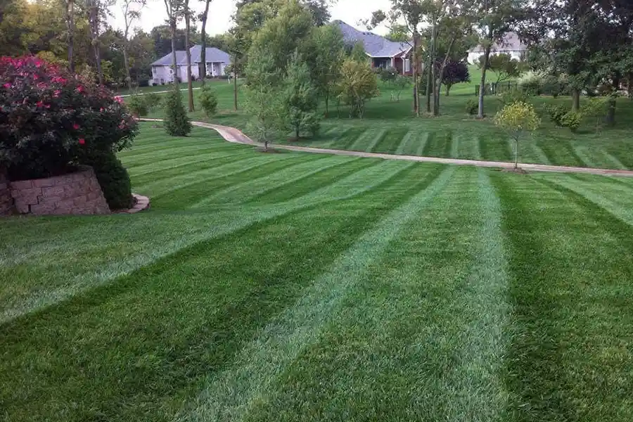 Reliable Lawn Maintenance Services Lawn Maintenance Services
