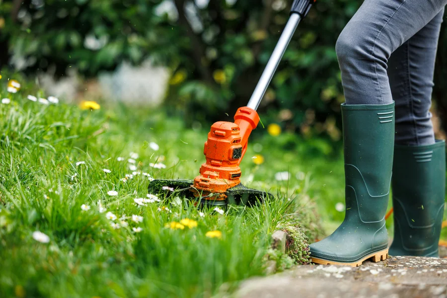 Affordable Lawn Care Service Stoughton, WI Affordable Lawn Care Service Stoughton, WI