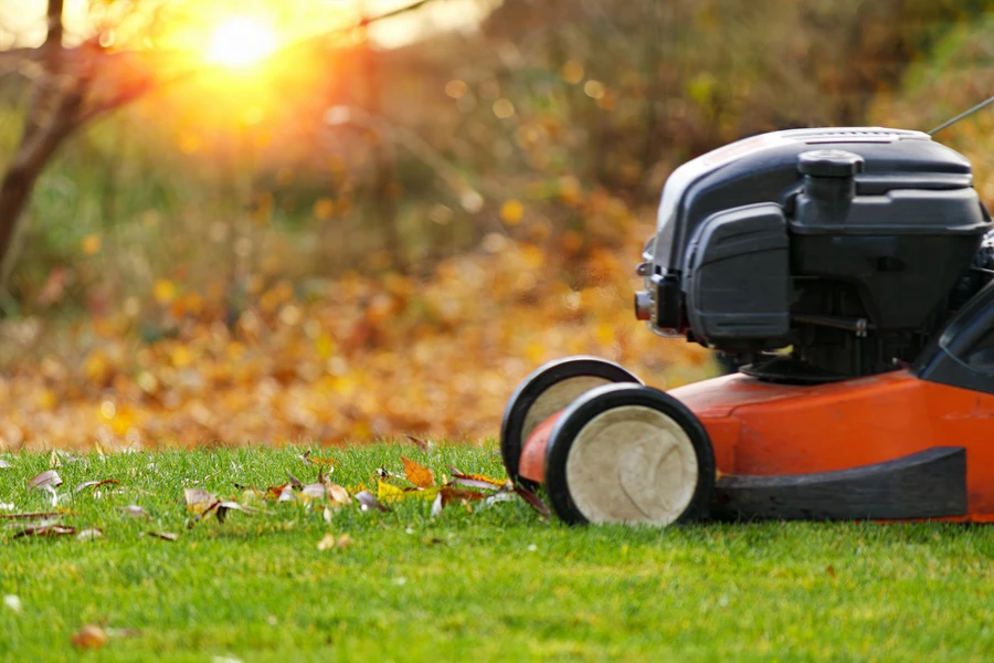 Common Lawn Care Challenges And How Experts Solve Them in Stoughton, WI Common Lawn Care Challenges And How Experts Solve Them in Stoughton, WI