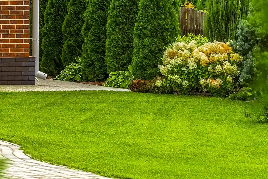 Excellent Lawn Care Service Stoughton, WI Excellent Lawn Care Service Stoughton, WI