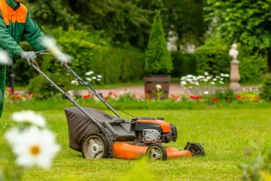 Experienced Lawn Maintenance Services Stoughton, WI Experienced Lawn Maintenance Services Stoughton, WI