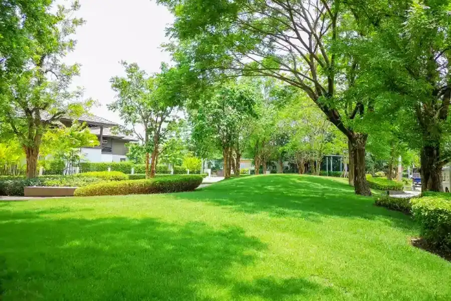 How Lawn Maintenance Affects Property Value Stoughton, WI How Lawn Maintenance Affects Property Value Stoughton, WI