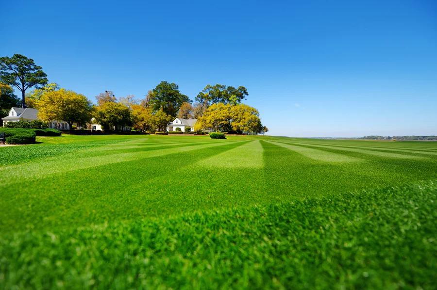 Key Services Offered By Professional Lawn Care Providers in Stoughton, WI Key Services Offered By Professional Lawn Care Providers in Stoughton, WI
