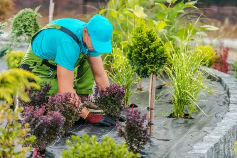 Top-rated Lawn Maintenance Services Stoughton, WI Top-rated Lawn Maintenance Services Stoughton, WI
